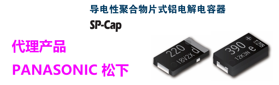 PANASONIC SP-CAP